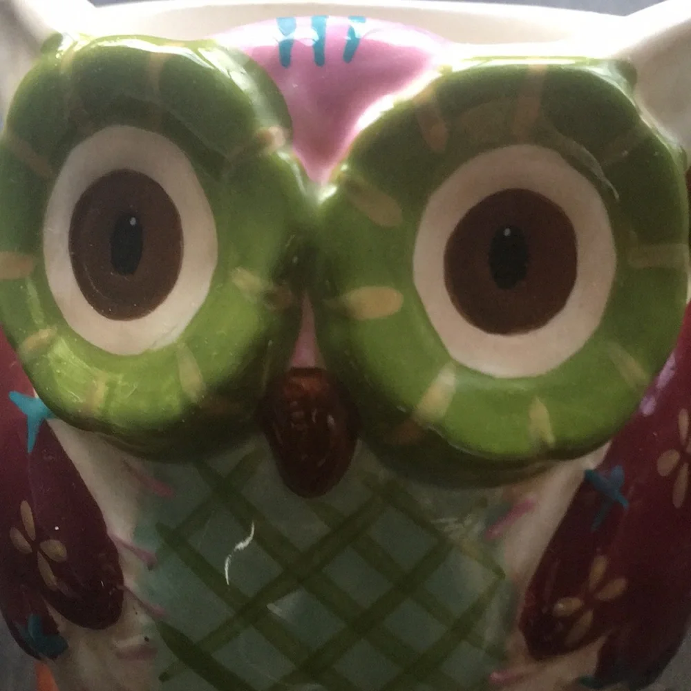 Pier 1 Imports Olli The Owl Mug